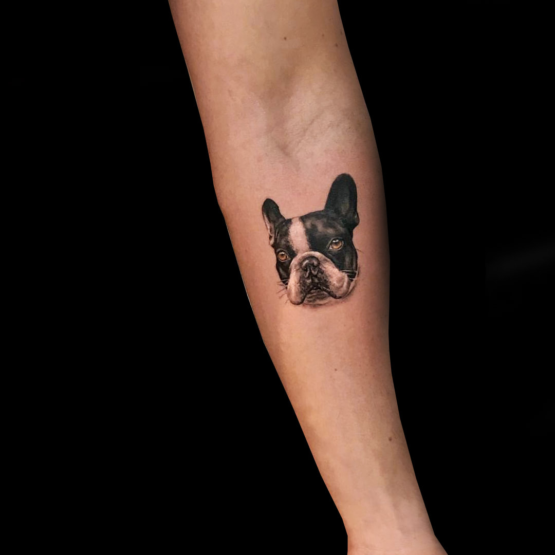 Chiens et Chats - Crazy Geneva ink Tattoo